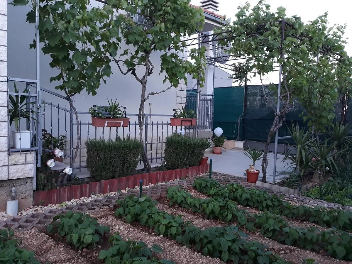Apartment Quality Vila 